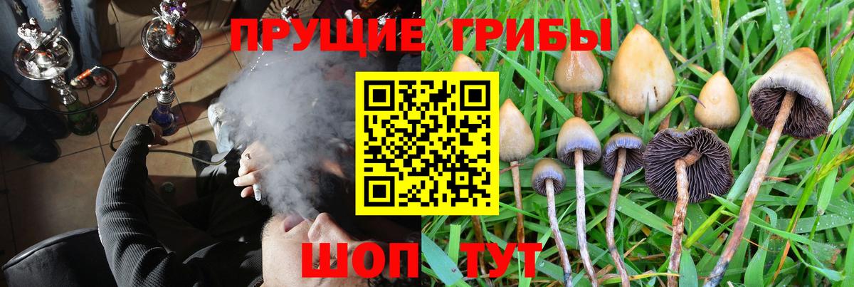 Бердск  Псилоцибиновые грибы мухоморы  Галлюциногенные грибы MAGIC MUSHROOMS  Вход с VPN 